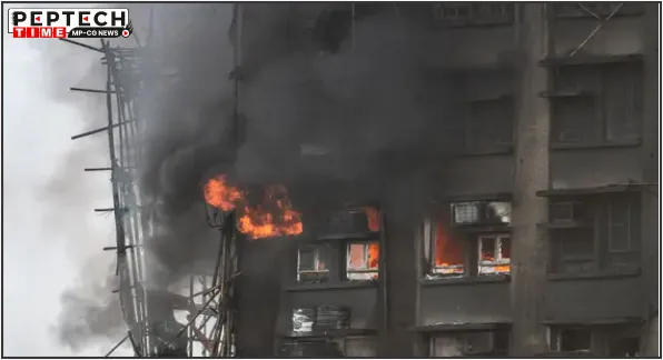 international international